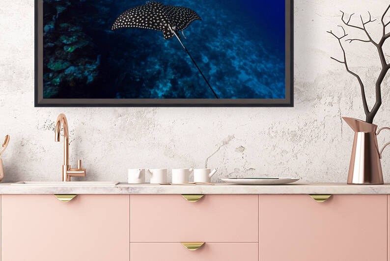 Wall Gliding Ray Landscape Reproduction