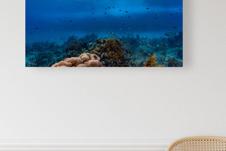 Reefscapes  1 Reproduction