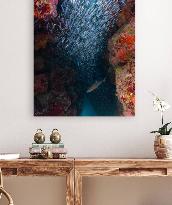 Silverside Cave Reproduction