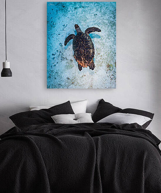 Sandpatch Sea Turtle Reproduction