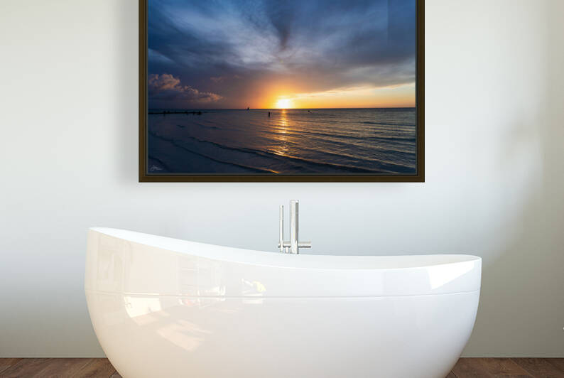 Dusky Holbox Reproduction
