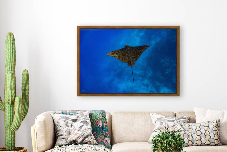 Aerial Reproduction