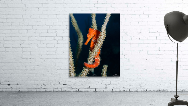 Holding On Wall Preview