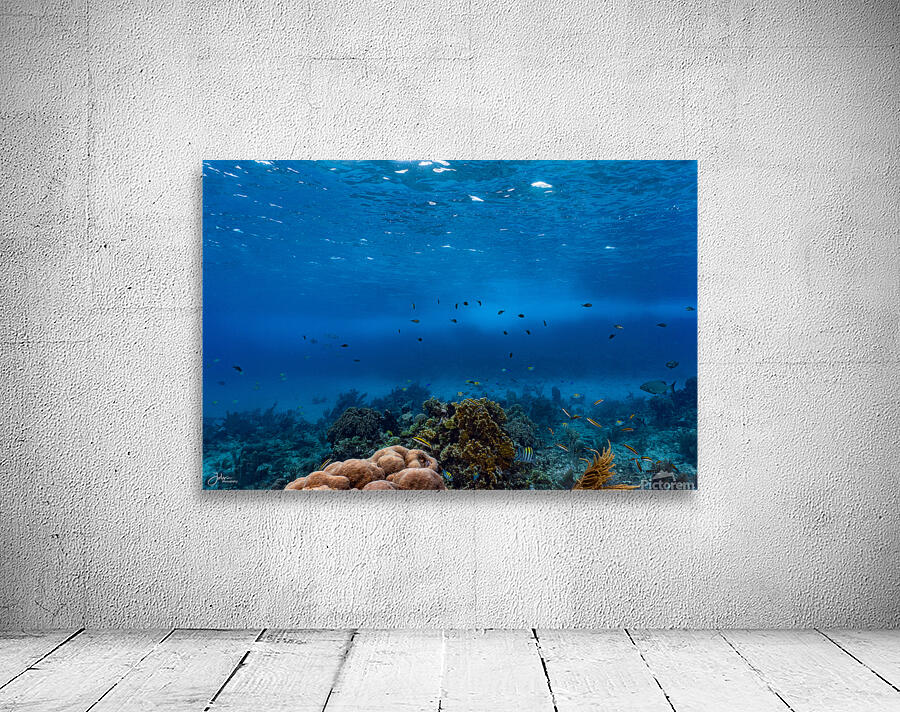 Reefscapes  1 Wall Preview