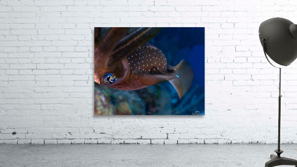 Alien Encounters Wall Preview