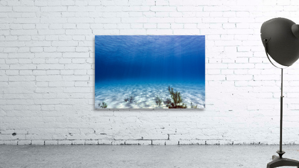 Sand Flats Wall Preview
