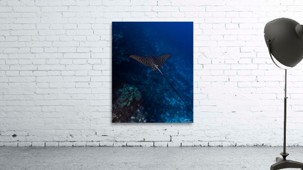 Wall Gliding Ray Wall Preview