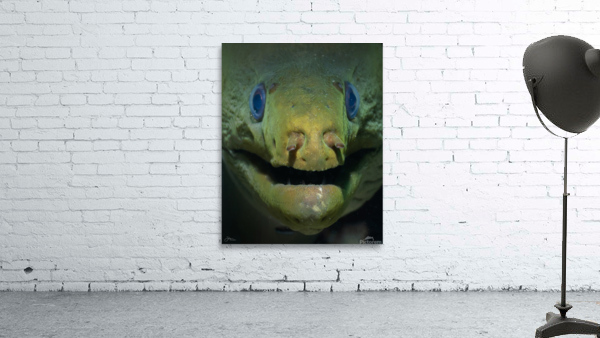The Joker Wall Preview