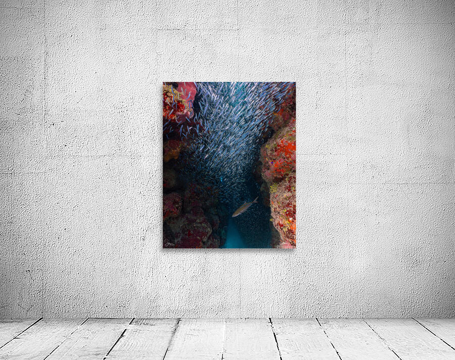 Silverside Cave Wall Preview