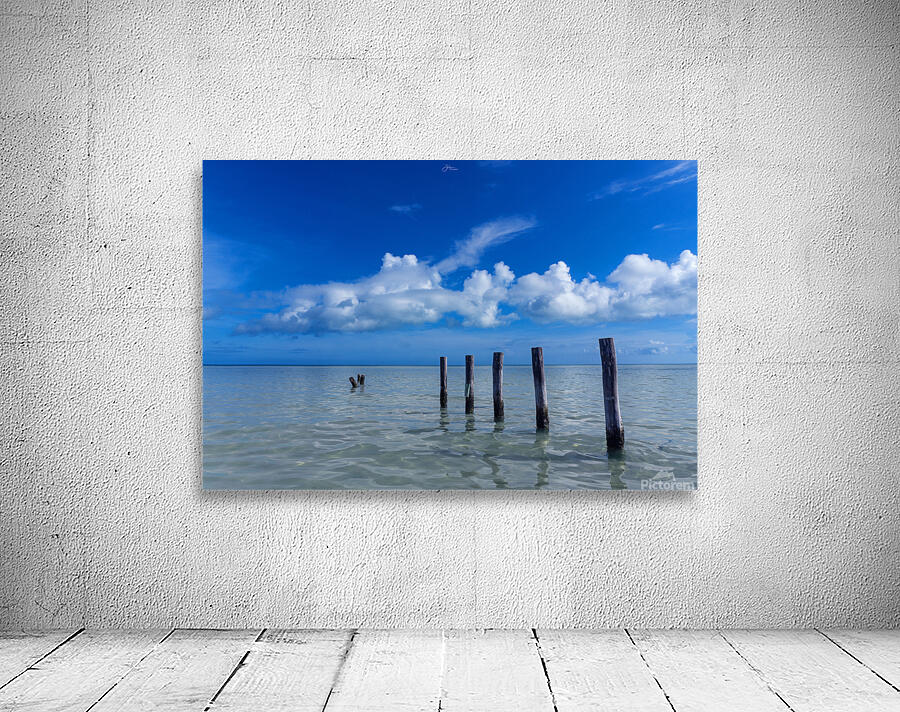 Jetty Wall Preview