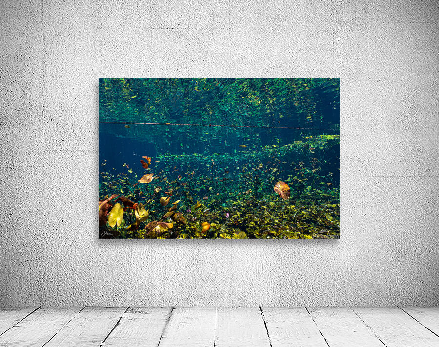 Fallen Leaves Wall Preview