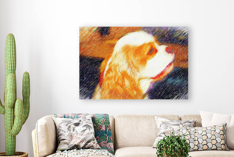 Cavalier King Charles Spaniel dog pencil by meravdigital