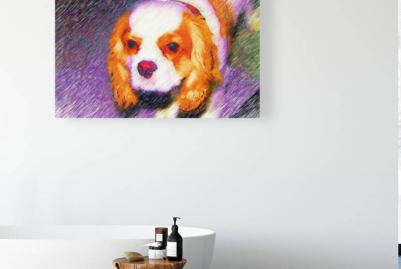 Cavalier King Charles Spaniel dog pencil drawing by meravdigital
