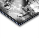 Bison Battle Acrylic print