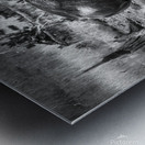 Bison Battle Metal print