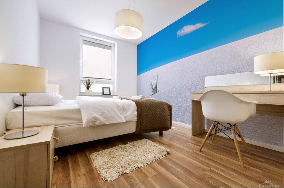 Solitude Mural print