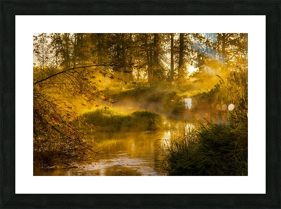 Enchanted Stream Picture Frame print