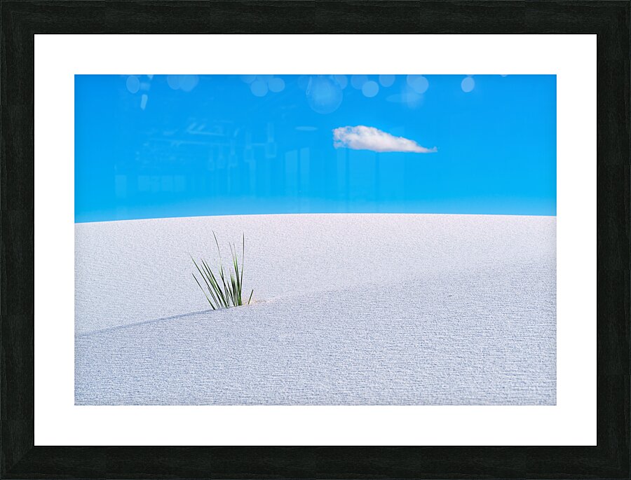 Solitude Picture Frame print