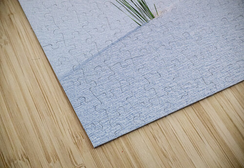 Solitude Backwood Photographer puzzle