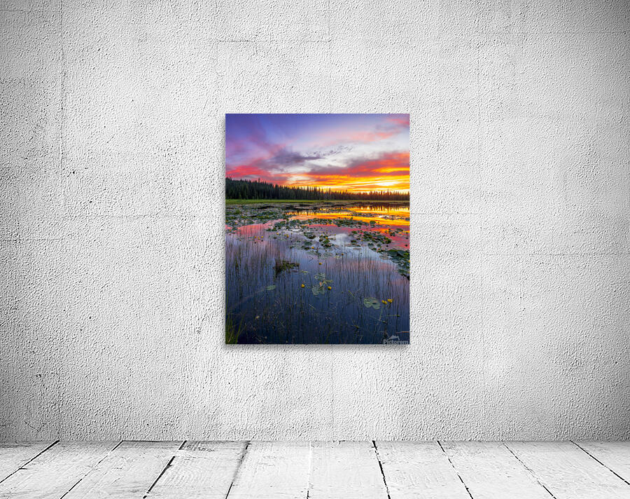 Lily Lake Sunset Wall Preview