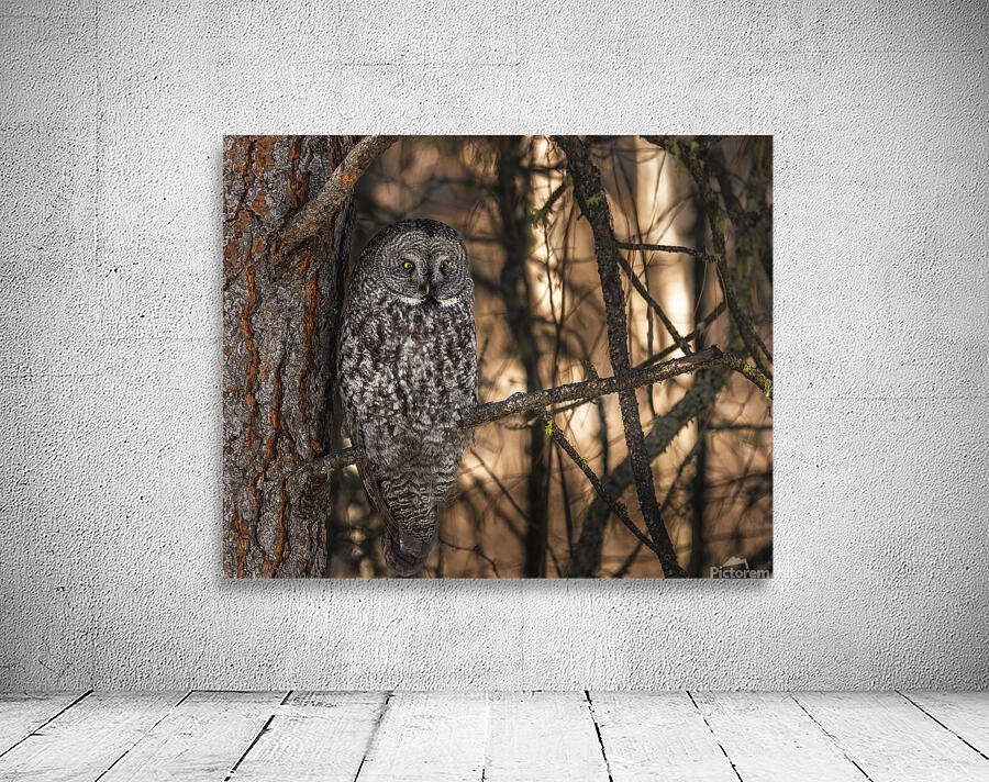 Phantom Glare Wall Preview