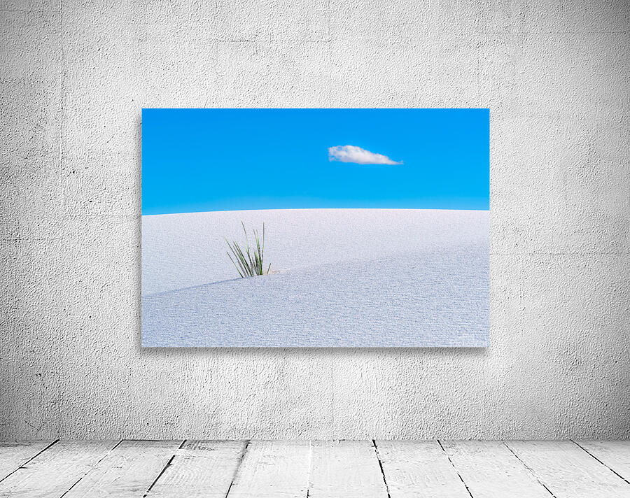 Solitude Wall Preview