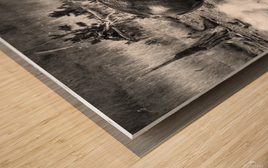 Bison Battle Wood print