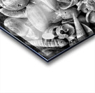 20150810 091616 01 01 01300 Acrylic print