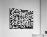 20150810 091616 01 01 01300 Acrylic Print