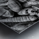 20150810 091616 01 01 01300 Metal print