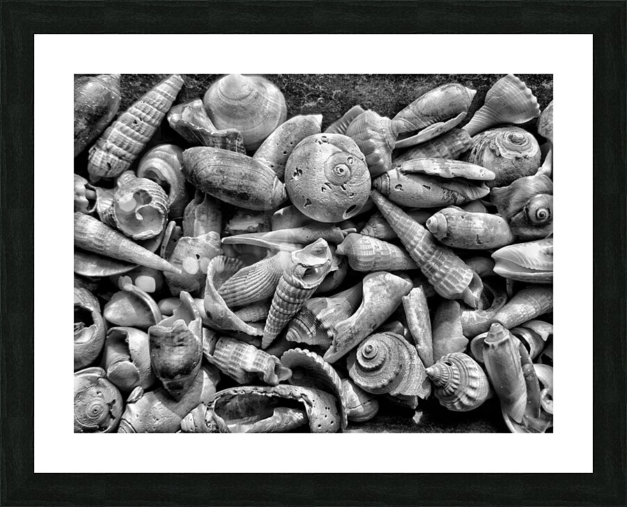 20150810 091616 01 01 01300 Picture Frame print