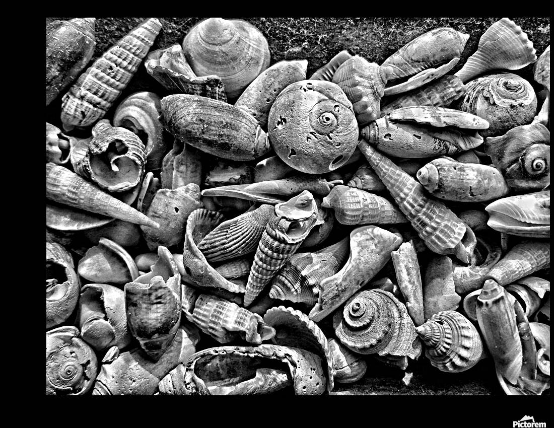 20150810 091616 01 01 01300 Reproduction