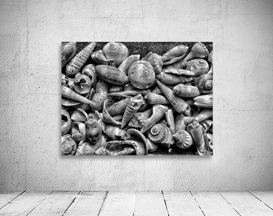 20150810 091616 01 01 01300 Wall Preview