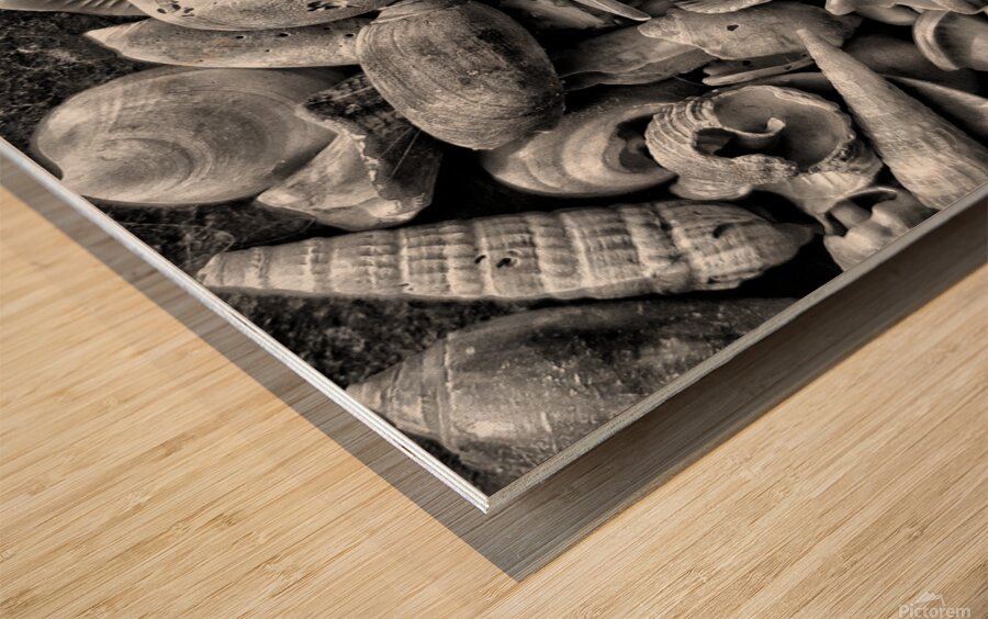 20150810 091616 01 01 01300 Wood print