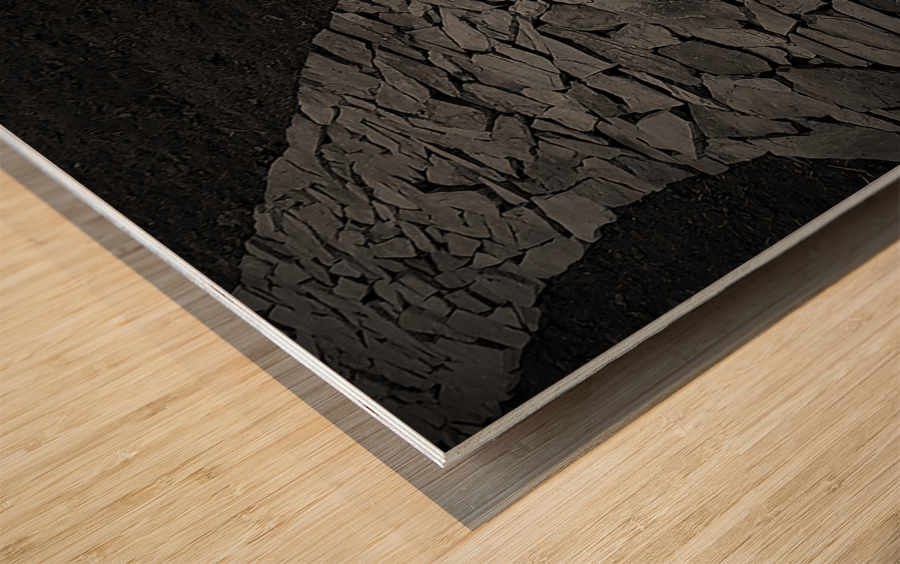 Down A Dark Path Wood print