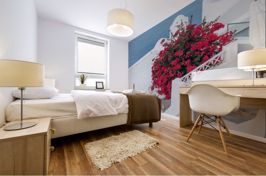 Santorini stuff 68 Mural print