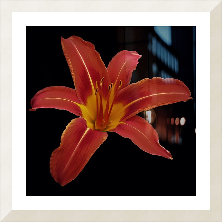 Roja Lily Picture Frame Printing