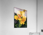 IMG 2450 Acrylic Print