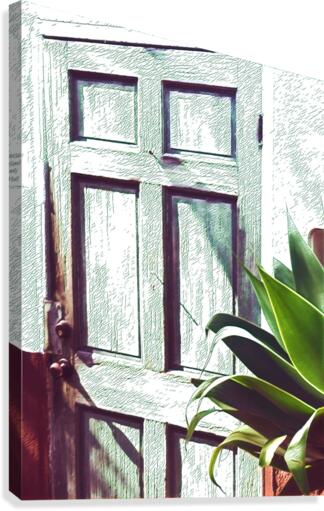 Old Town Door 3 Canvas Print