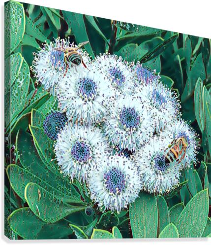 Purple button flower with bees 2 Canvas Print