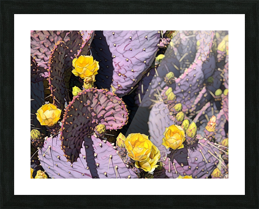 Beavertail Cacti 1 Picture Frame print