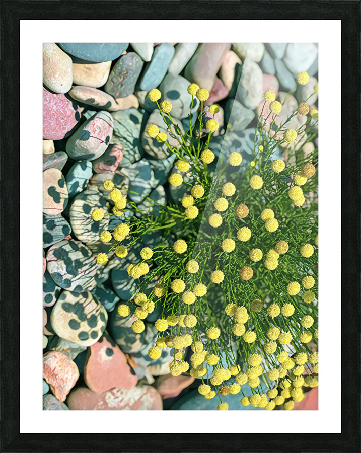 yellow button flower 2 Picture Frame print