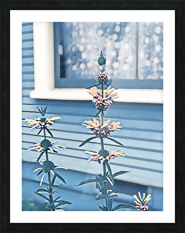 IMG 2437 2 Picture Frame print