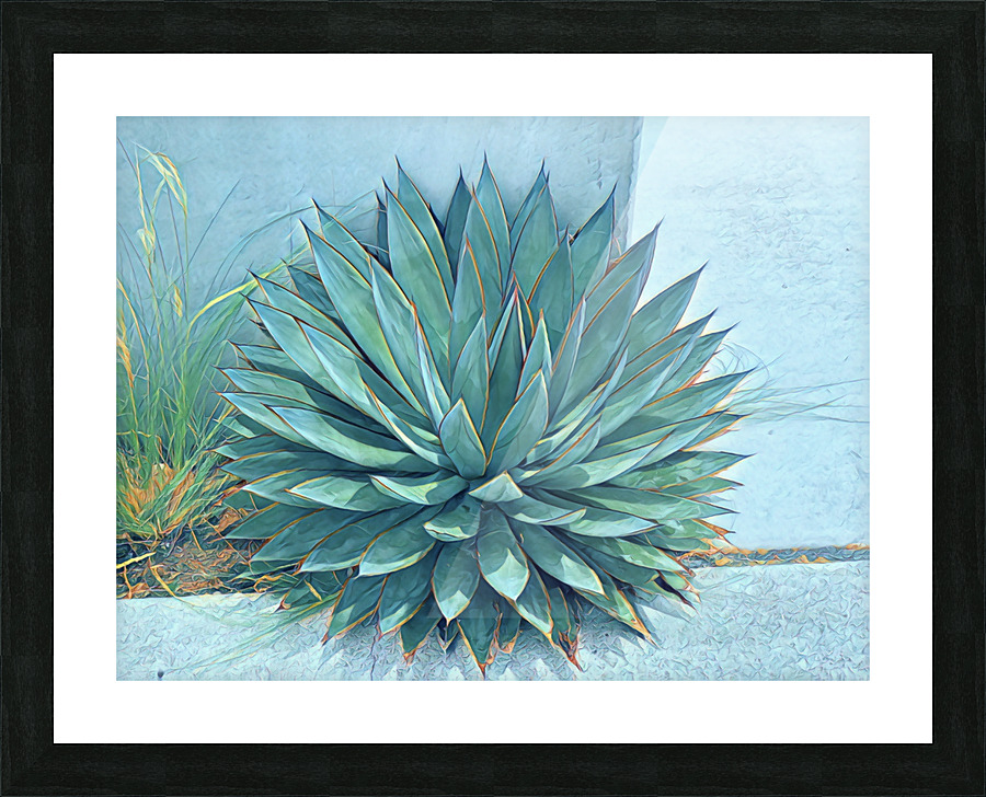 IMG 2448 2 Picture Frame print