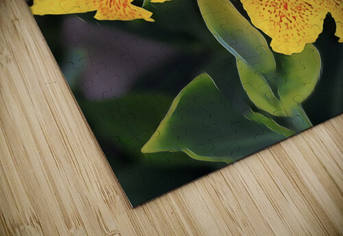 IMG 2450 Mary Jo s Art Inspirations puzzle