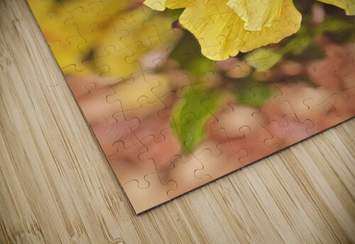 IMG 2453 2 Mary Jo s Art Inspirations puzzle