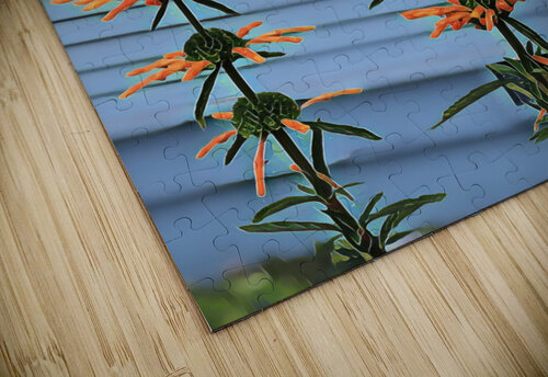 IMG 2441 2 Mary Jo s Art Inspirations puzzle