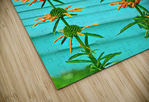 IMG 2432 Mary Jo s Art Inspirations puzzle