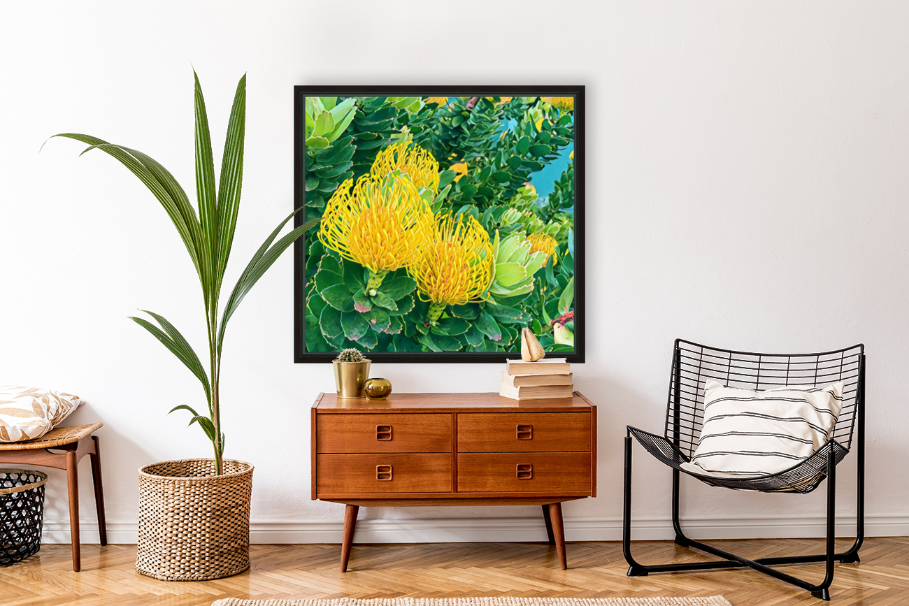 Protea 1 Reproduction