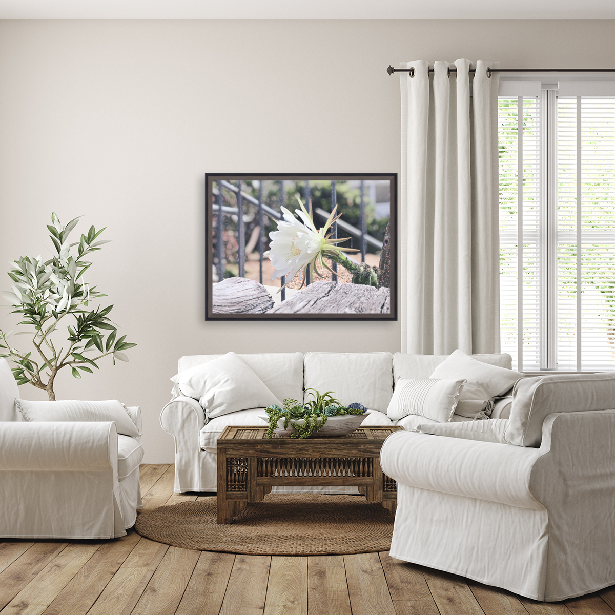 Snow Cactus Reproduction